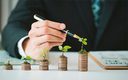 Governo anuncia 3º leilão do programa Eco Invest Brasil para atrair investimentos Governo anuncia 3º leilão do programa Eco Invest Brasil para atrair investimentos