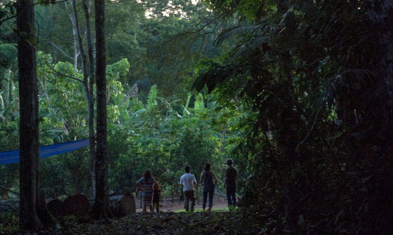 Governo do Brasil mantém ofensiva contra atos ilegais em território indígena em RO Governo do Brasil mantém ofensiva contra atos ilegais em território indígena em RO