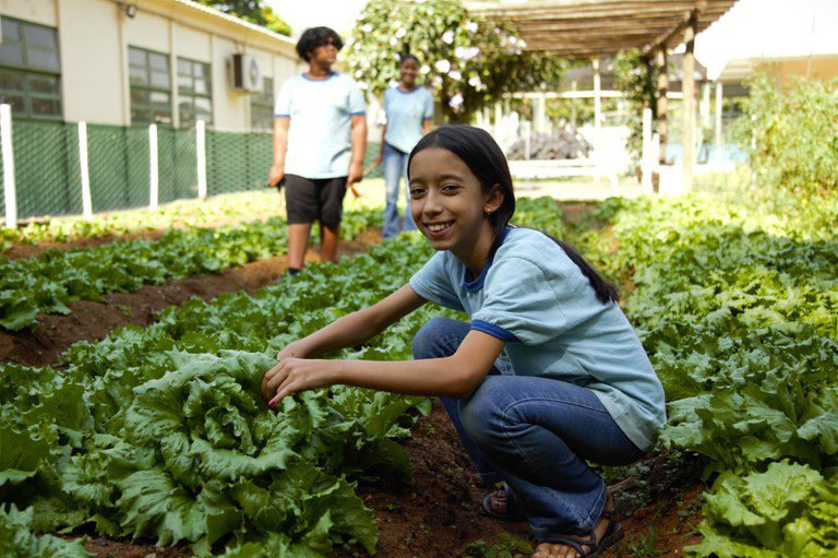 Novo Pronacampo tem adesão de 73,5% dos municípios do Nordeste