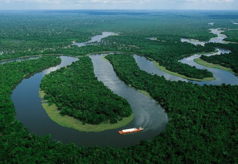 Brasil anuncia 3,4 milhões de hectares em processo de restauração de mata nativa