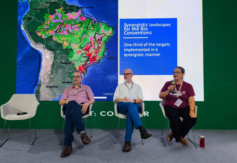 Brasil apresenta mapa de paisagens sinérgicas e avança na integração entre as convenções do Rio