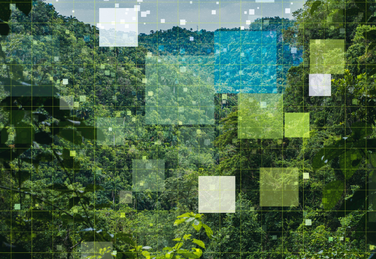 Plataforma reúne agentes públicos e mercado para indicar investimentos em bioeconomia