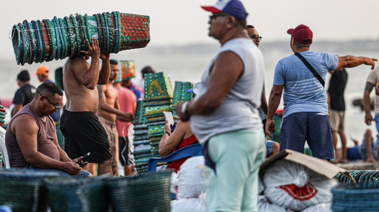 Força-tarefa da COP 30 turbina internet em Belém e resultado é elogiado na cidade