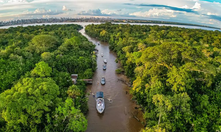 4° Leilão do Eco Invest vai fomentar bioeconomia e turismo sustentável com foco na Amazônia