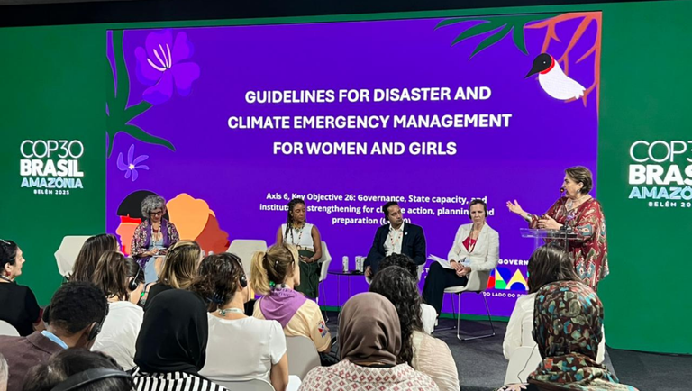 Brasil apresenta diretrizes para proteger mulheres e meninas em desastres climáticos