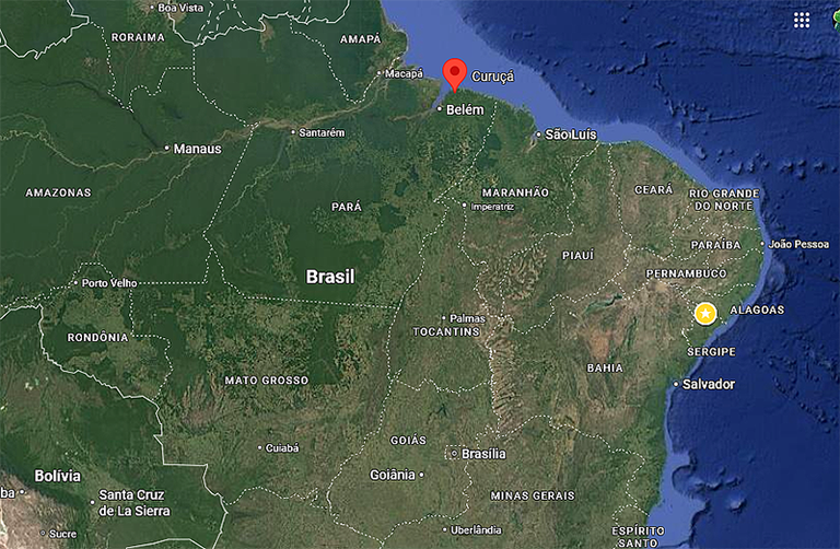 curuça.png curuça.png