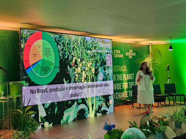 Maior parte da vegetação nativa do Brasil está em fazendas privadas, diz estudo da Embrapa