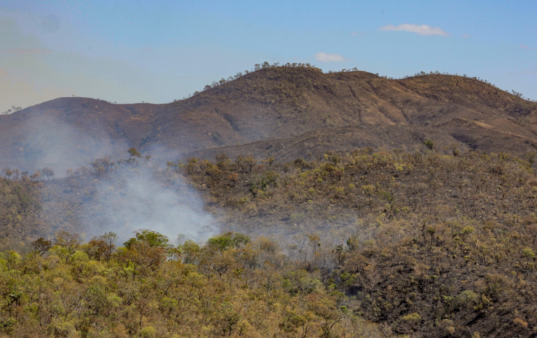 Incêndios florestais em unidades de conservação chegam ao menor patamar desde 2018