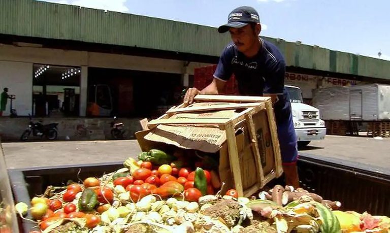 MDS apresenta na COP 30 estratégia para reduzir desperdício de alimentos