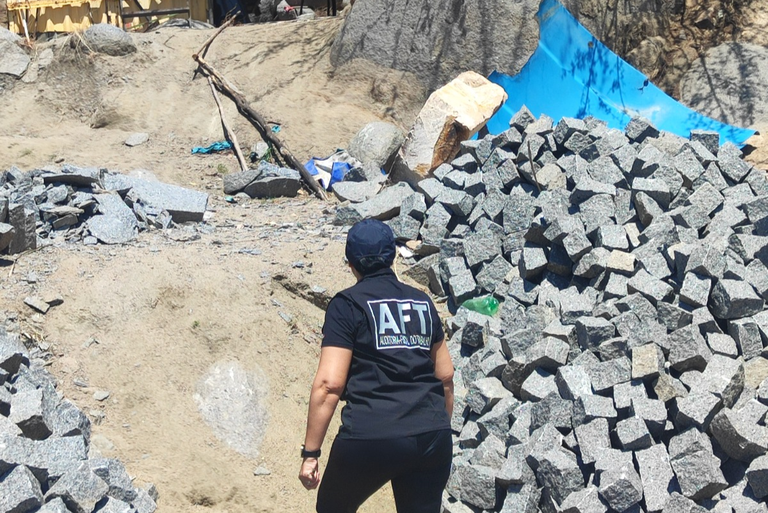 MTE resgata 20 trabalhadores em condições análogas à escravidão no Nordeste