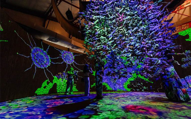 Museu construído com recurso federal recebeu 70 mil visitantes em um mês