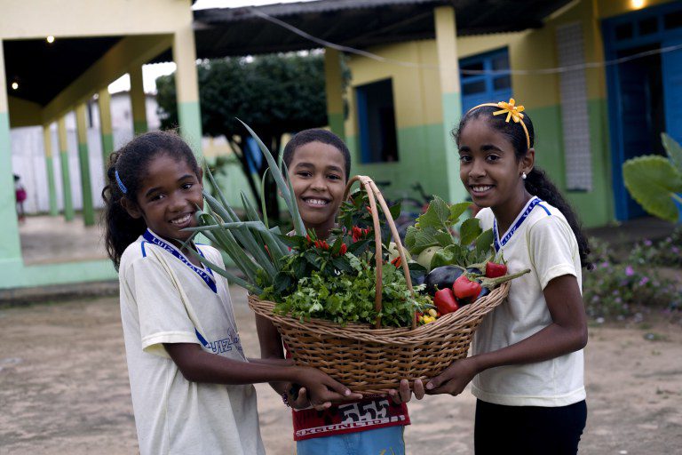 Novo Pronacampo: prazo para adesão é prorrogado até 30 de novembro Novo Pronacampo: prazo para adesão é prorrogado até 30 de novembro
