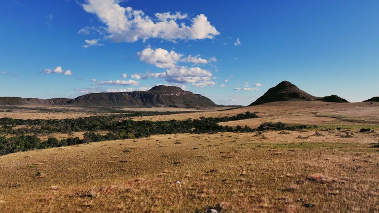 Parques do Brasil revela belezas e biodiversidade da Chapada dos Veadeiros