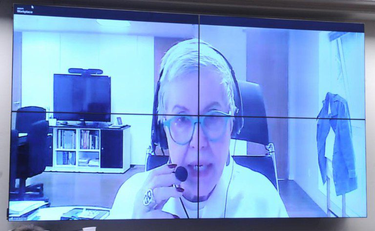 Secretaria dos Direitos da Criança e do Adolescente defende inclusão da primeira infância na Constituição