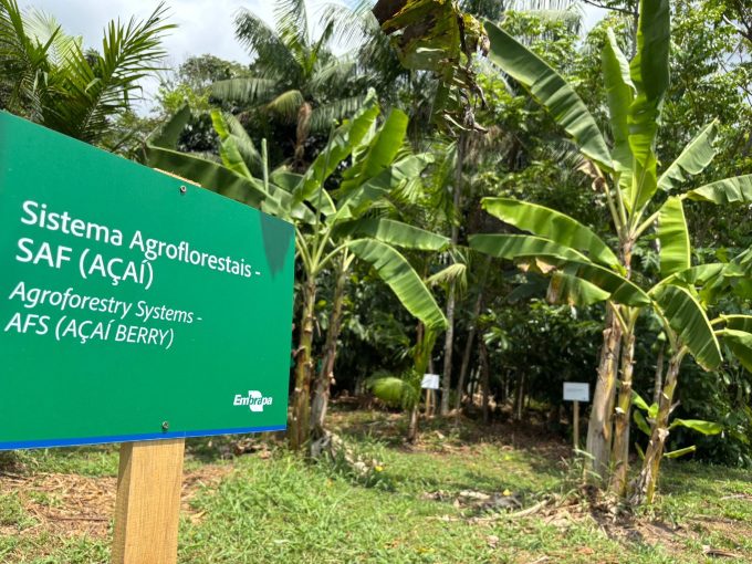 Em Belém, Embrapa apresenta mais de 40 tecnologias para a agricultura familiar
