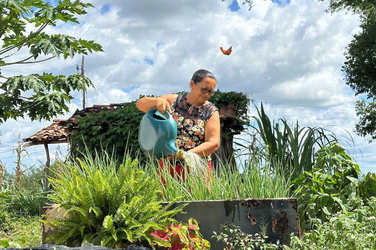 Fomento Rural aumenta em 30% renda familiar de beneficiados