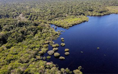 Fundo Amazônia aprova R$ 2 bi em 2025 para avançar em meta de desmatamento zero