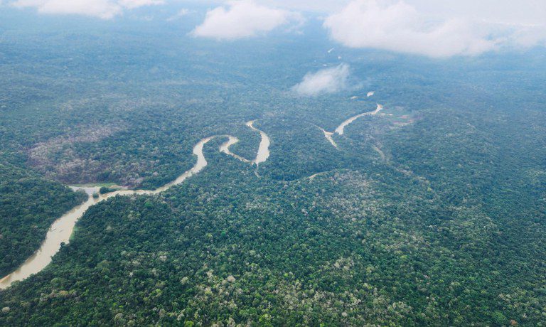 Ações do Governo do Brasil defendem 60 mil indígenas e tiram R$ 900 mi de invasores