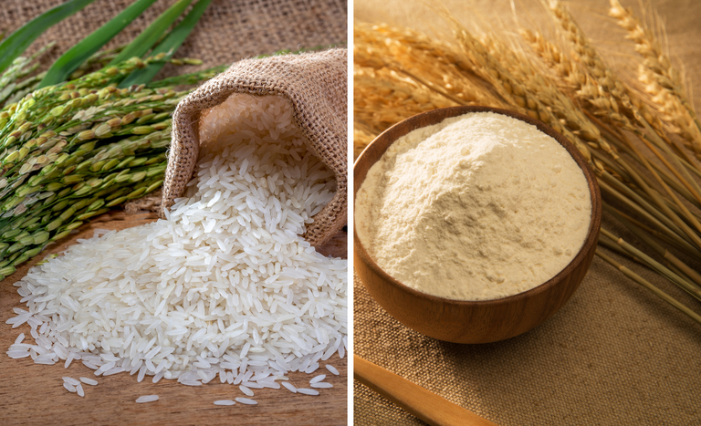 Governo divulga subvenção de até R$ 167 milhões para equalização de preços do arroz e do trigo