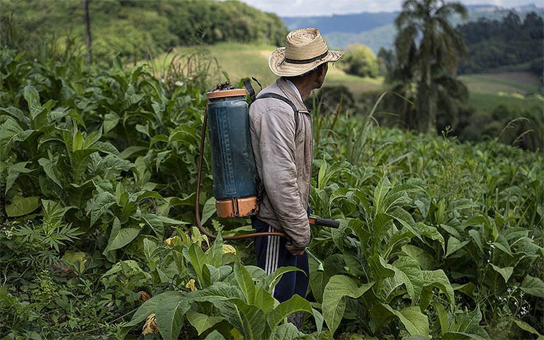 Desenvolvimento Agrário apresenta Política Nacional de Alternativas ao Tabaco