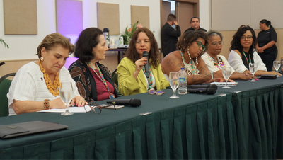 Ministra das Mulheres defende lei geral de enfrentamento à violência de gênero