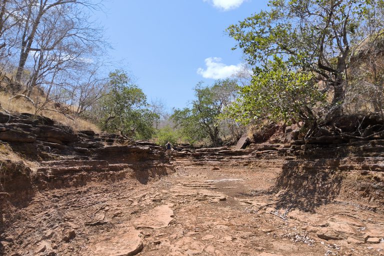 Estudo revela alta concentração de fosfato, urânio e terras raras no Piauí