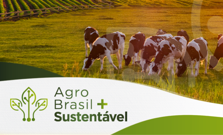 Plataforma Agro Brasil + Sustentável disponibiliza serviço de habilitação de área de produção para exportação