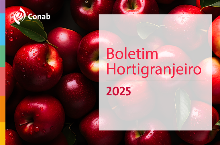 Conab: preço do tomate cai mais de 26% nos mercados atacadistas