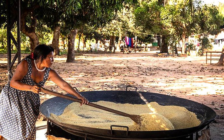 Projeto 'Florestas e Comunidades: Amazônia Viva' terá R$ 96 milhões do Fundo Amazônia