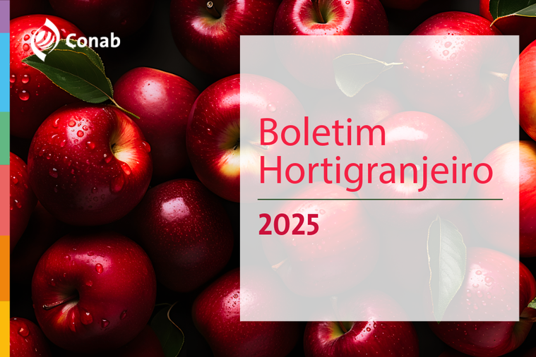 Tomate, cenoura e batata ficaram mais baratos em novembro, aponta Conab
