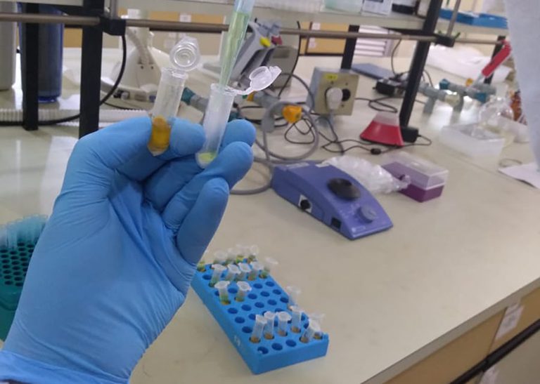 embrapa1.jpg embrapa1.jpg