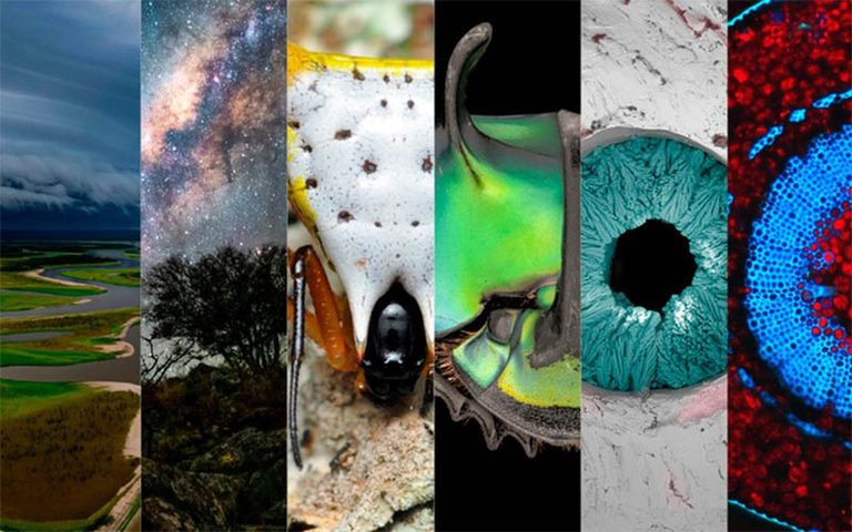 Prêmio Fotografia-Ciência & Arte: prazo para inscrição se encerra em 20 de fevereiro
