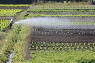 Governo do Brasil já aprovou R$ 7,2 bi para produtores impactados pelo clima
