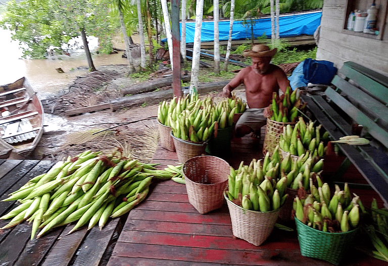 Microcrédito se consolida na região Norte apoiando pescadores e ribeirinhos