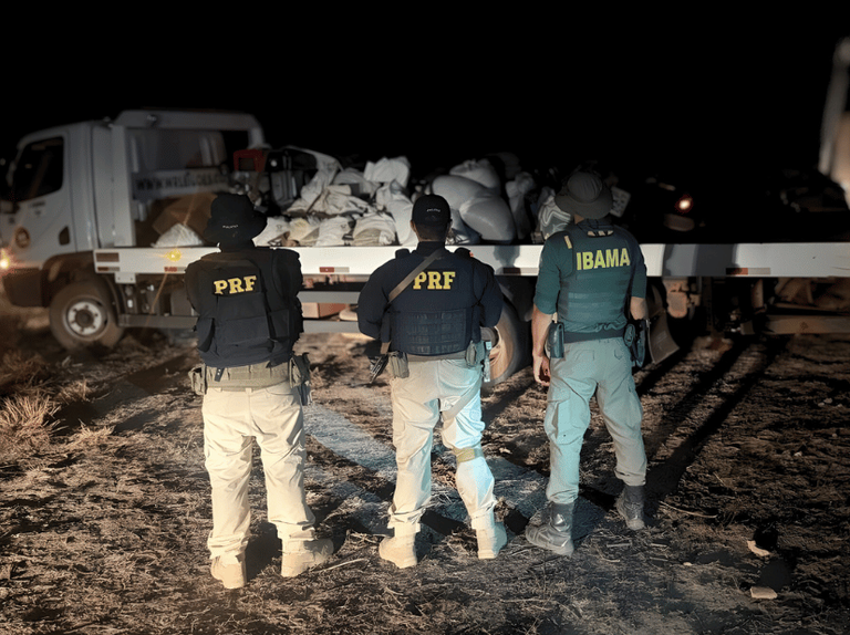 PRF e Ibama apreendem maquinário de garimpo próximo à reserva indígena em Roraima