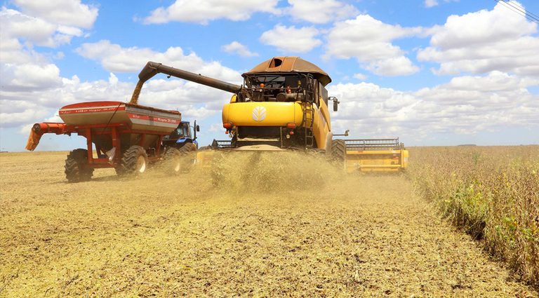 Produção da soja tem previsão de novo recorde na série histórica em 2026