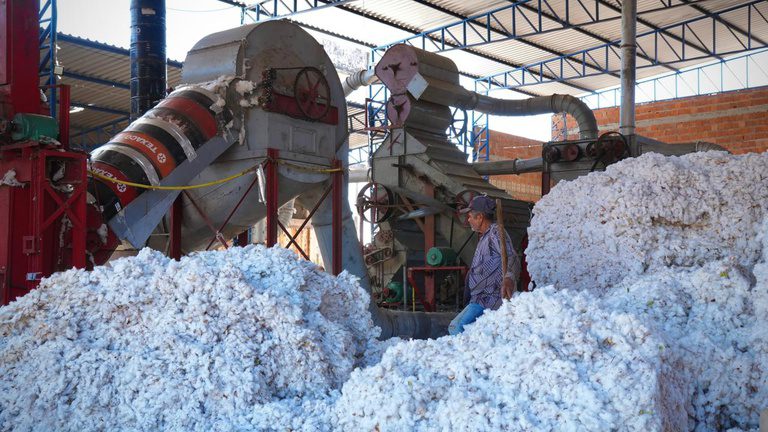 Transnordestina reduzirá custos e abrirá novos mercados para produtores do Cariri