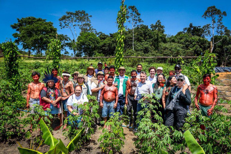Unidade para soberania alimentar na Terra Yanomami é inaugurada