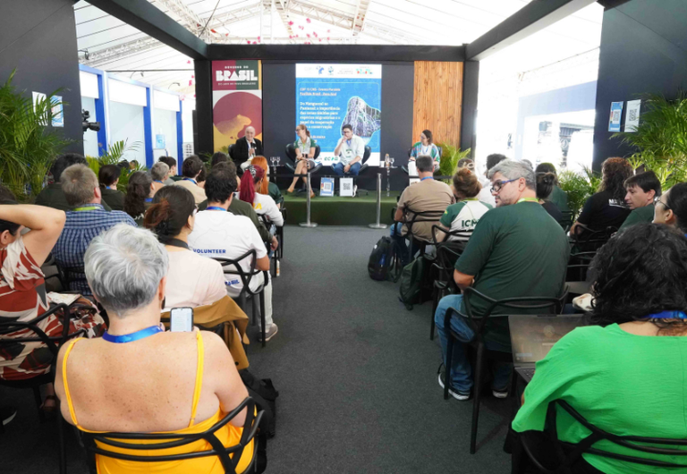 Na COP 15, Brasil fortalece conectividade ecológica para proteger espécies migratórias no Pantanal