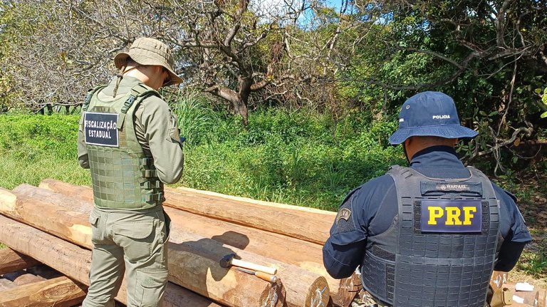 PRF faz operação de combate a crimes ambientais no Centro-Oeste