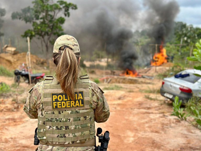 PF combate invasão de terras da União e tráfico em terra indígena na Bahia