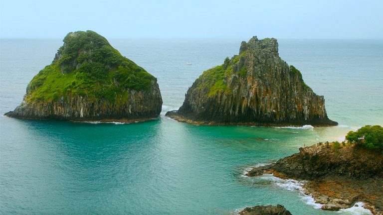 Séries originais da TV Brasil ganham maratona na faixa vespertina em março