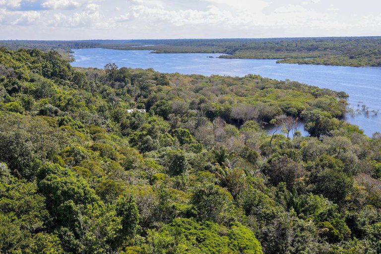 Governo do Brasil anuncia aporte de R$ 350 milhões do Fundo Amazônia para inovação na Amazônia Legal
