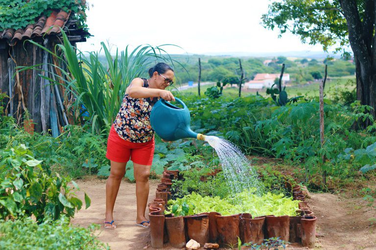 Programa de Aquisição de Alimentos completa 23 anos garantindo segurança alimentar e renda