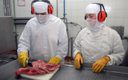Exportações brasileiras crescem 11,8% de janeiro até primeira semana de julho