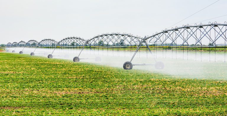 Confira como irrigantes e aquicultores podem ter mais flexibilidade para obter desconto na conta de luz