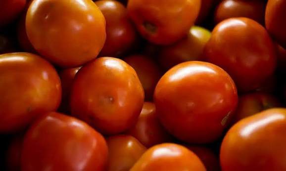 Preço do tomate negociado nas principais Ceasas brasileiras tem queda média de 15,85%