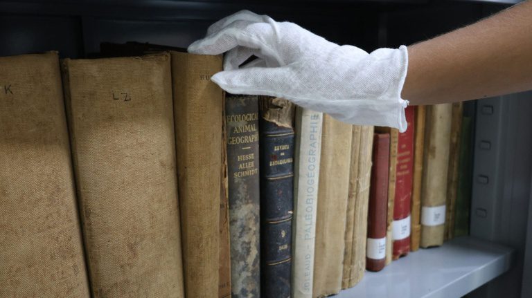 Às margens do Lago Tefé (AM), biblioteca reúne 28 mil obras científicas sobre a Amazônia Às margens do Lago Tefé (AM), biblioteca reúne 28 mil obras científicas sobre a Amazônia