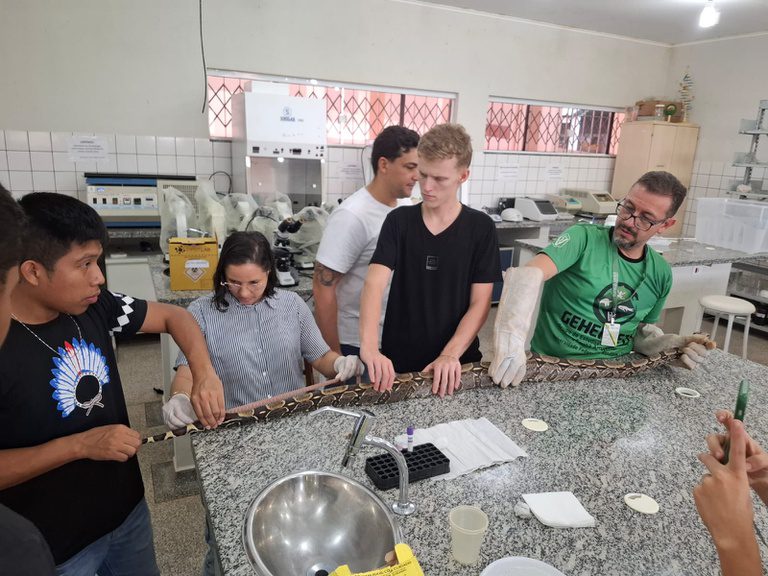 Universidade Federal de Rondônia oferece atendimento veterinário gratuito