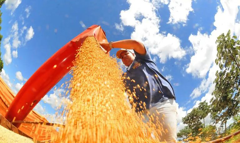 Criadores terão acesso a novos produtos para ração animal pelo Programa de Venda em Balcão